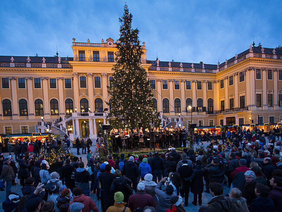 Targul de Craciun si Anul Nou, Palatul Schoenbrunn, Viena