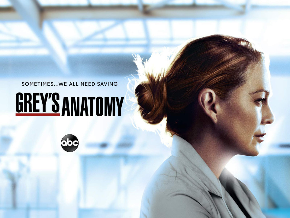 Al 17-lea sezon din “Grey’s Anatomy” le-a oferit fanilor o apariţie surpriză