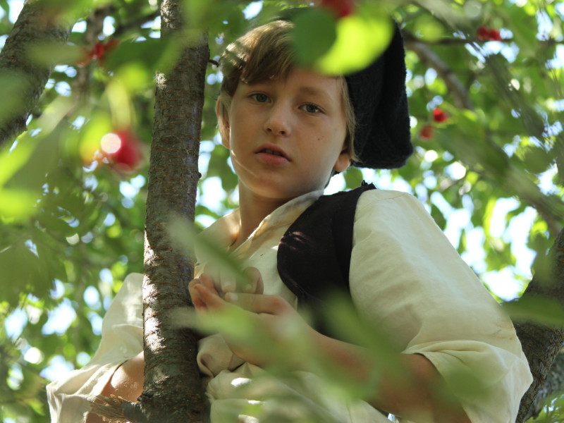 Filmul „Copacul dorinţelor: Amintiri din copilărie", lansat în octombrie