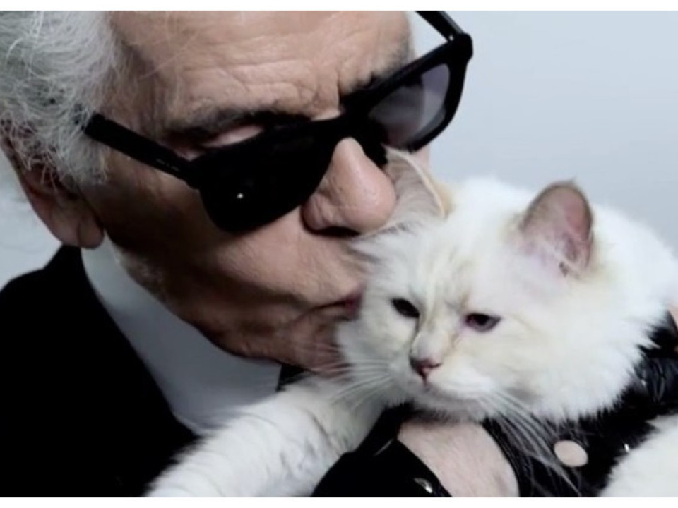 Choupette, pisica lui Karl Lagerfeld, are un mesaj emoţionant la un an de la moartea designerului 