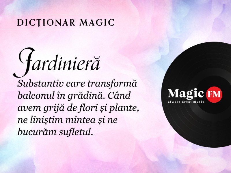 Dicționar Magic: Jardinieră