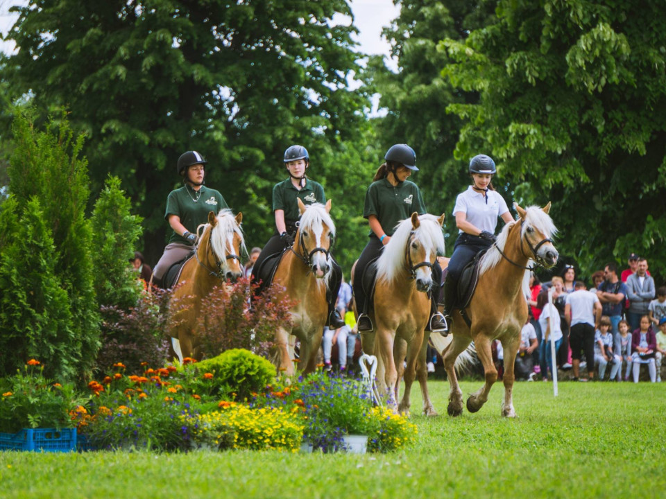 Karpatia Pony Show 2023: cinci zile de acțiune și distracție pentru întreaga familie pe Domeniul Cantacuzino, Florești!
